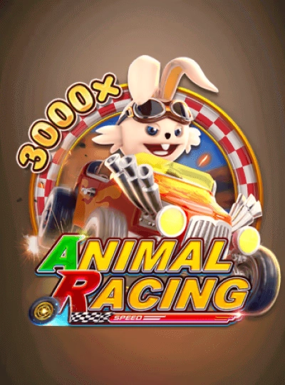dmk999